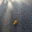  , , 50  -  4  2019   3.10.2019 