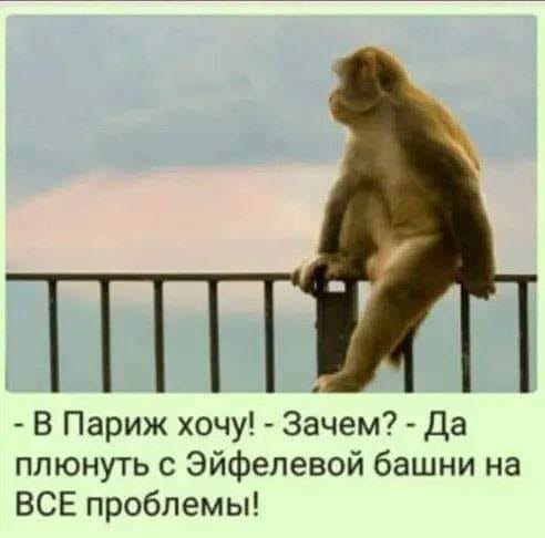 ������ - 12 ������� 2019 � 10:02