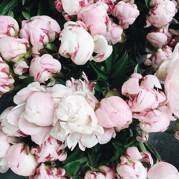 - A ?    x ?.- H    y.  a  .x M P - 5