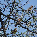  ,  -  5  2019      2019