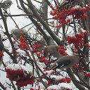 ���� �������, �������, 41 ��� - ��������� 3 ������ 2019 � ������ ������ ��������