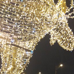 �������, �����, 44 ����