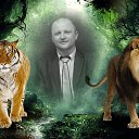 ���� �������, �����, 41 ��� - ��������� 22 ��� 2019 � ������ ���� ����������