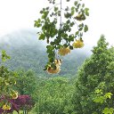 ���� �������, �������, 65 ��� - ��������� 3 ���� 2019 � ������ ���� ����������