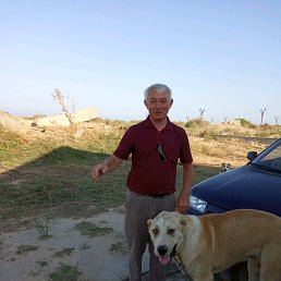 ���� ���������, ���������, 67 ��� - ��������� 24 ���� 2019