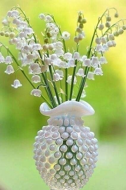   ,    . - 24  2019  14:58 - 2