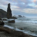 ���� ������, �����������, 46 ��� - ��������� 29 ���� 2019 � ������ �������� ���������