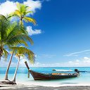 ���� No Fa�e No Name No Number, ������ - ��������� 22 ���� 2019 � ������ ������ ��������