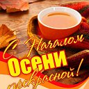 ���� �����, �����-��������� - ��������� 1 �������� 2019 � ������ ������ ��������