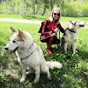 ���� ��������, ��������, 55 ��� - ��������� 9 ��� 2019