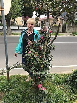 �������� - 3 ��� 2019 � 13:55
