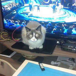 ���� �������, ������������, 100 ��� - ��������� 16 ������� 2019