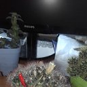 ���� ������ �������������, ������, 53 ���� - ��������� 17 ���� 2019 � ������ �������