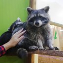 ���� ������, ��������, 19 ��� - ��������� 4 �������� 2019 � ������ ���� ����������