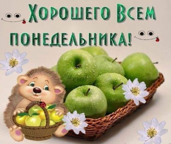 �������� � �������� ���� ������������