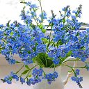 ���� Lilita, �������, 56 ��� - ��������� 2 ���� 2019 � ������ ���� ����������