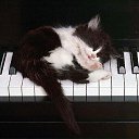  Saturn,  -  21  2019    