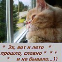 ���� �����, ������� ��������, 62 ���� - ��������� 13 �������� 2019 � ������ ������ ��������