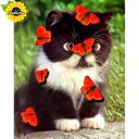 ���� �����, ������������ - ��������� 9 ���� 2019 � ������ ���� ����������