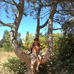 ������, �������, 65 ���