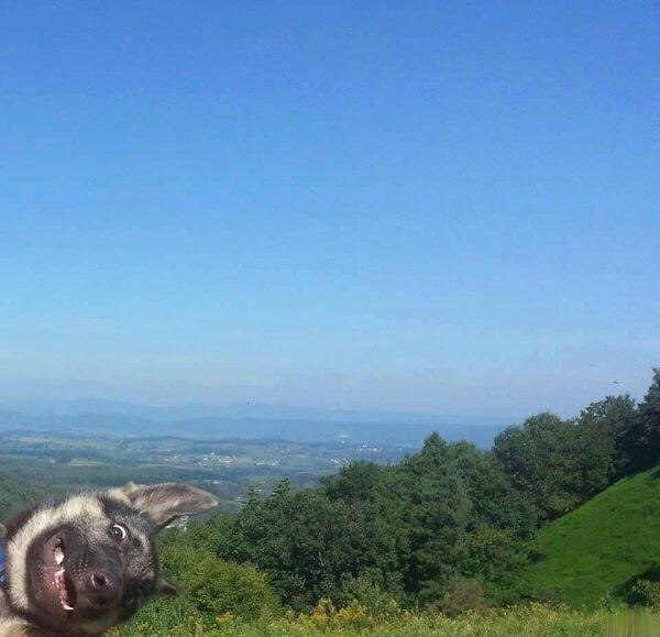 Ха!