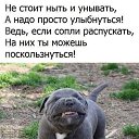 ���� ������, ���, 58 ��� - ��������� 11 ������� 2019 � ������ ���� ����������