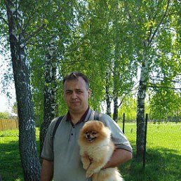 ���� ����������, ������, 51 ��� - ��������� 19 ������ 2019