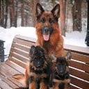 ���� �������, �����-���������, 50 ��� - ��������� 3 �������� 2019