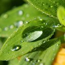 ���� ����, ��������, 47 ��� - ��������� 23 ������� 2019 � ������ ������ ��������