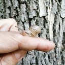 ���� �����, �������, 46 ��� - ��������� 7 ���� 2019 � ������ ���� ����������