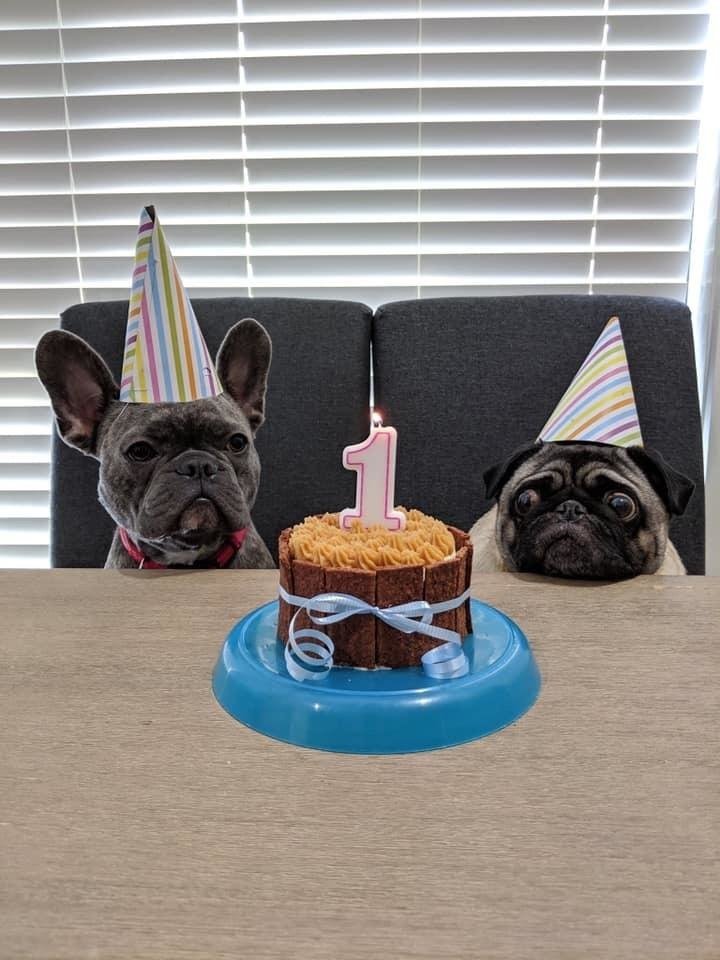 � ������!