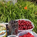 ������ ���� �� ������� ���� ����������