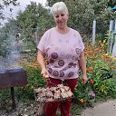 ���� ����, ������, 54 ���� - ��������� 30 ������� 2019 � ������ ���� ����������