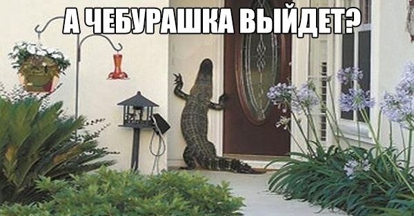    :D - 28  2019  19:37
