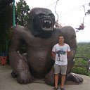 ���� ����, ������, 41 ��� - ��������� 17 ������� 2019 � ������ ���� ����������