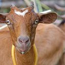 ���� ������, �����������, 65 ��� - ��������� 31 ��� 2019 � ������ ���� ����������