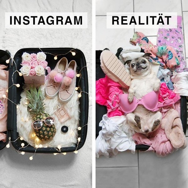 Ожидание/реальность.Автор: geraldinewest_ (Инстаграм)#настроение@ican - 4