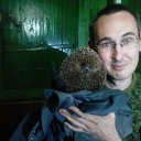 ���� �������, ������-���, 43 ���� - ��������� 16 ������ 2019 � ������ ���� ����������