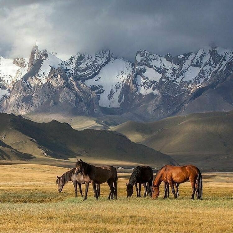 Жайлау Казахстана