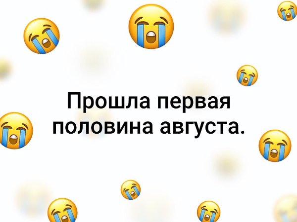   - 15  2019  19:36