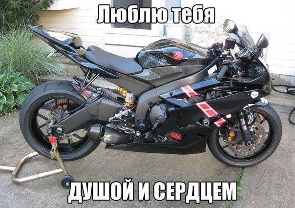 Gek_oks - 10  2019  20:57