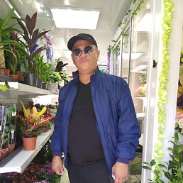 ������, ������, 53 ����