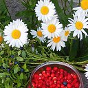 ���� �������, ����� - ��������� 1 ���� 2019 � ������ ���� ����������