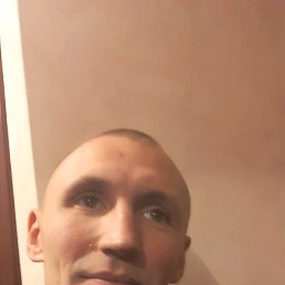 ����, �������, 40 ���