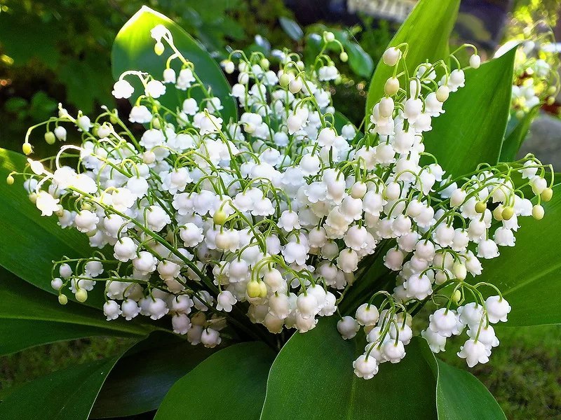   ,    . - 12  2019  09:50