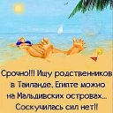 ���� �����, ���� - ��������� 4 ������ 2019 � ������ ������ ��������