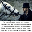 ���� ������, ���������� ����, 54 ���� - ��������� 15 ������� 2019 � ������ ������ ��������