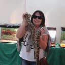 ���� �������, ���������� - ��������� 2 ������ 2020 � ������ ���� ����������