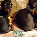 ���� ��������, �������������, 50 ��� - ��������� 30 ������� 2019 � ������ ������ ��������