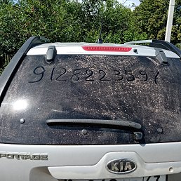 ���� ���������, ������, 54 ���� - ��������� 25 ���� 2019